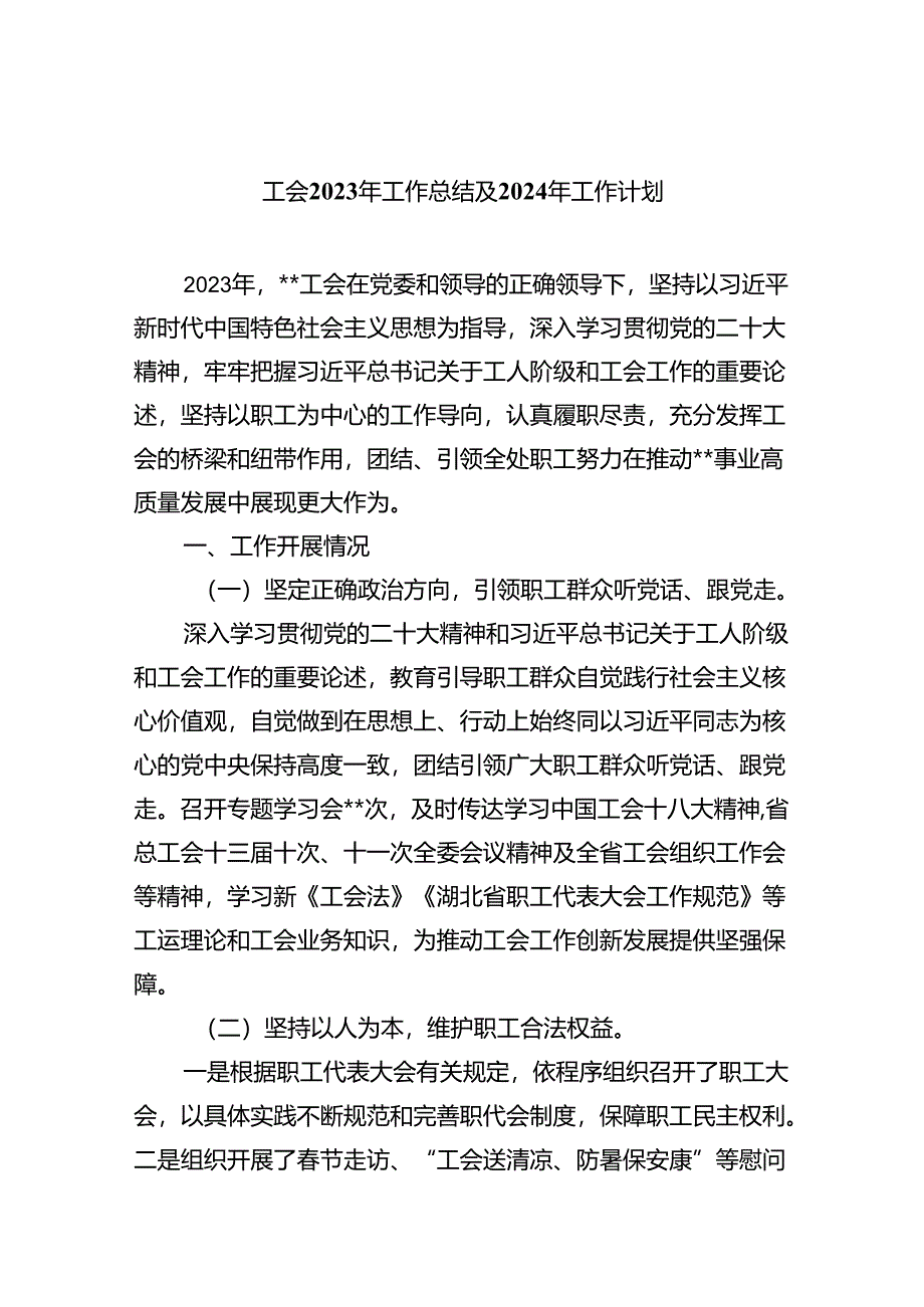 工会2023年工作总结及2024年工作计划【13篇精选】供参考.docx_第1页