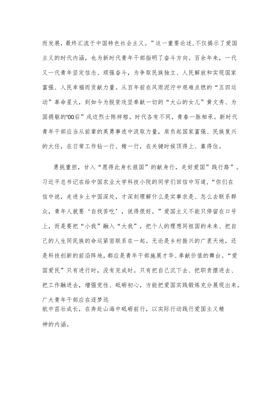 青年干部学习《大力弘扬伟大爱国主义精神把强国建设、民族复兴伟业不断推向前进》心得体会.docx_第2页