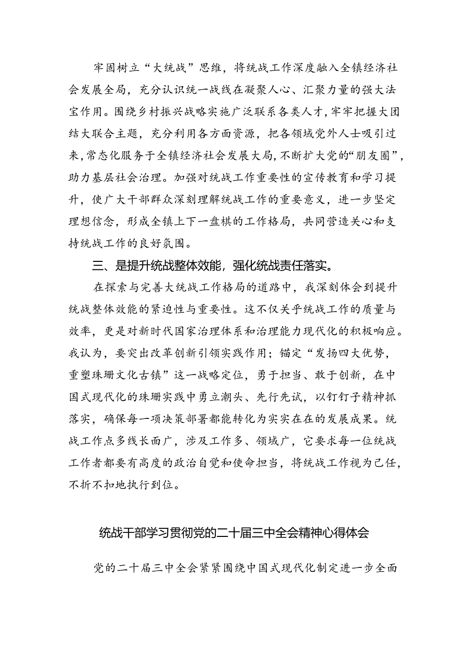 （9篇）统战委员学习贯彻二十届三中全会精神心得体会范文.docx_第2页