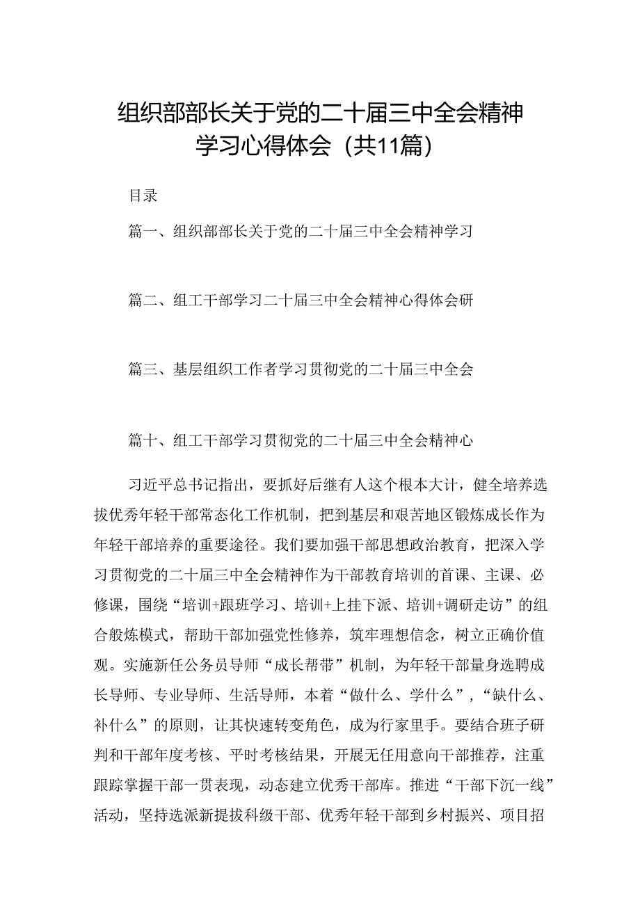 （11篇）组织部部长关于党的二十届三中全会精神学习心得体会范文.docx_第1页