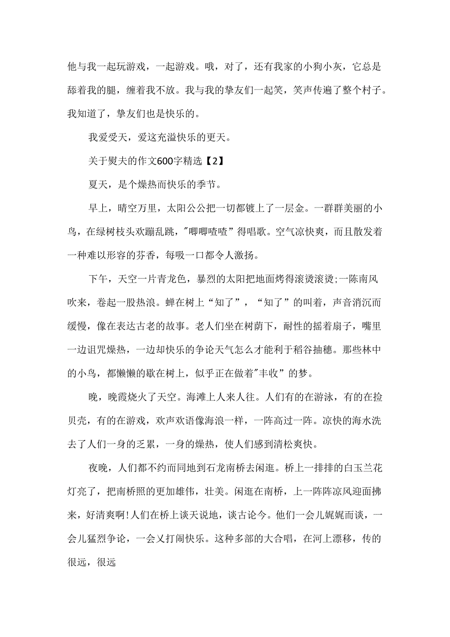 关于夏天的作文600字精选5篇.docx_第2页