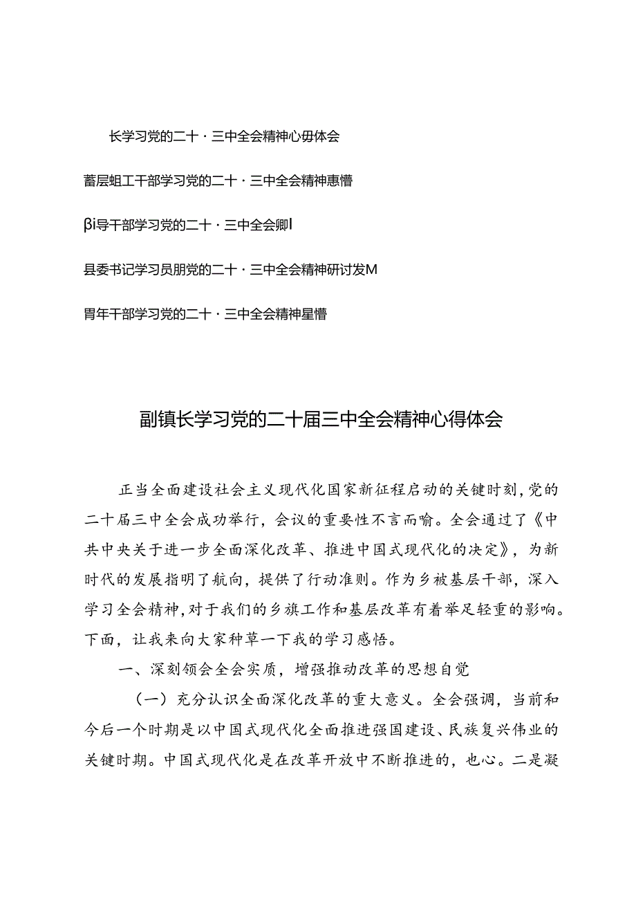 5篇 青年干部学习党的二十届三中全会精神感悟研讨发言（县委书记、领导干部、基层组工干部、副镇长）.docx_第1页