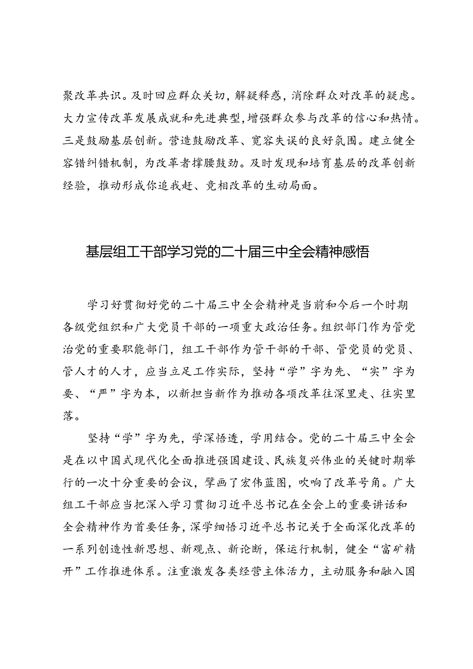 5篇 青年干部学习党的二十届三中全会精神感悟研讨发言（县委书记、领导干部、基层组工干部、副镇长）.docx_第2页