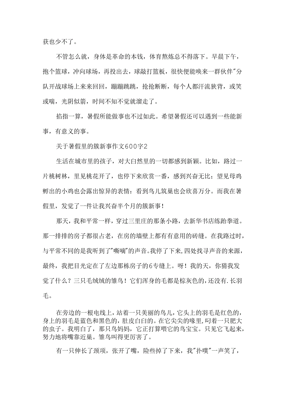 关于暑假里的新鲜事作文600字.docx_第2页