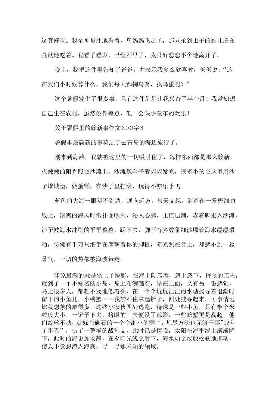 关于暑假里的新鲜事作文600字.docx_第3页