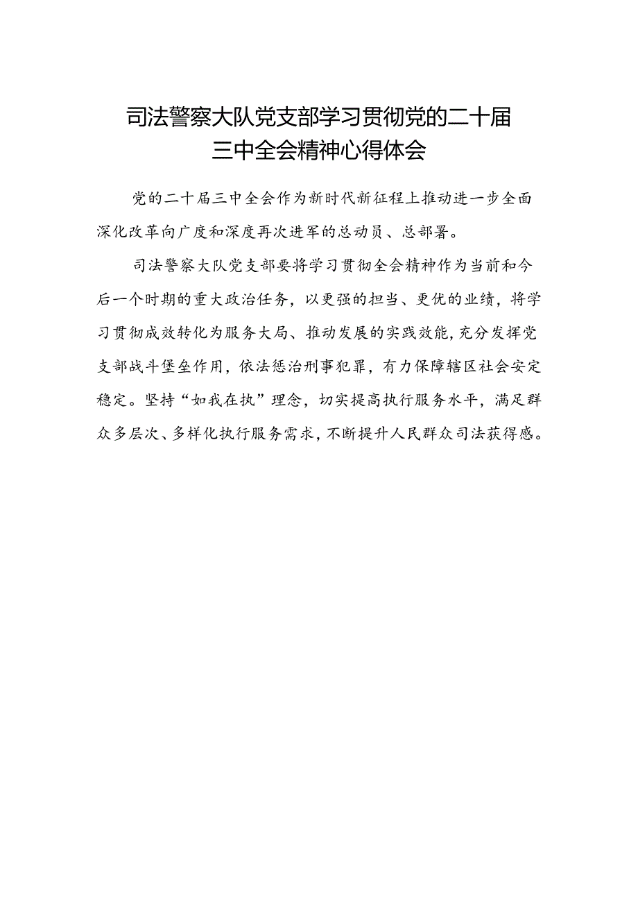 司法警察大队党支部学习贯彻党的二十届三中全会精神心得体会.docx_第1页