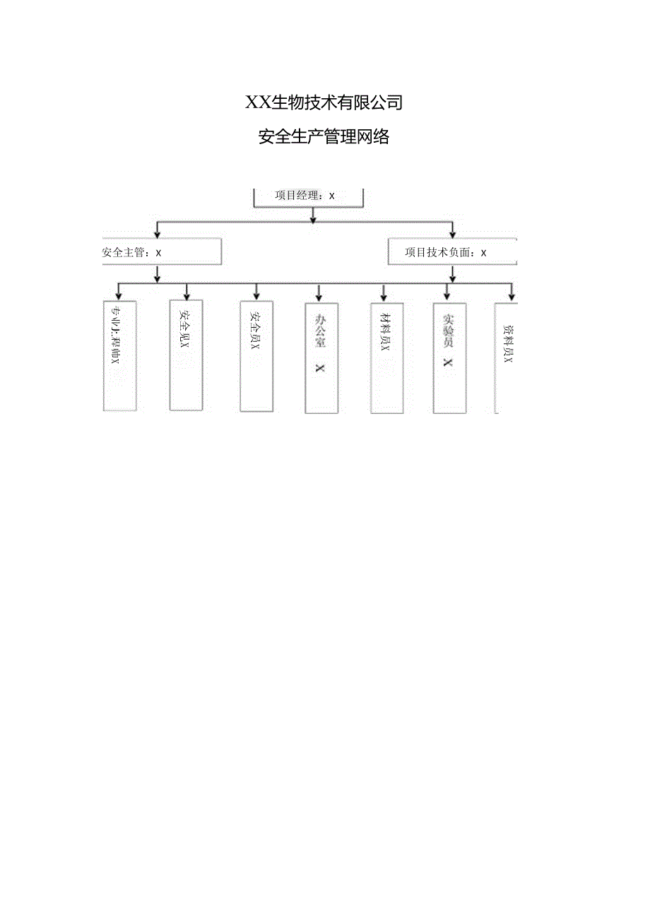 XX建筑装饰工程有限公司安全生产管理网络（2024年）.docx_第1页