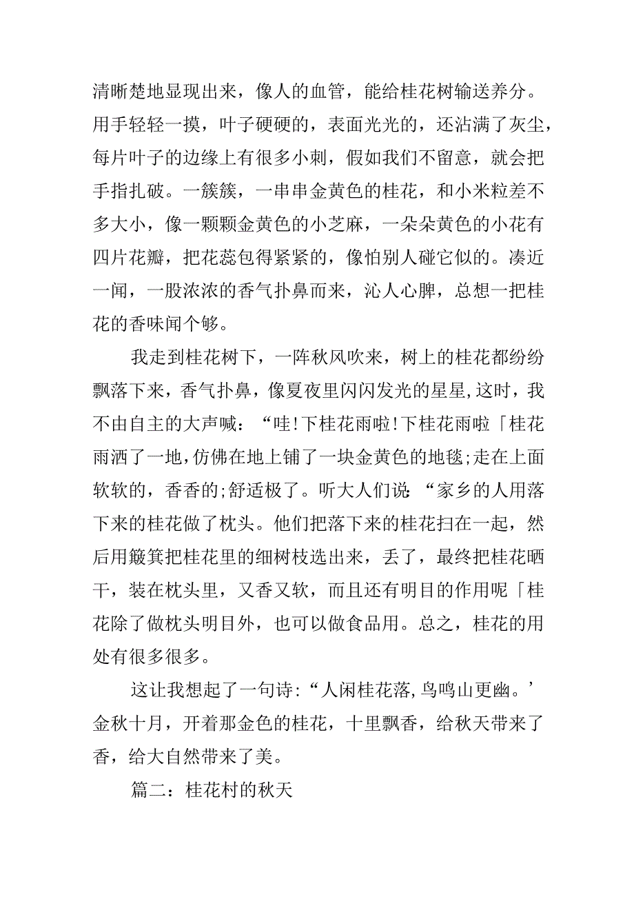 关于桂花的作文600字.docx_第2页