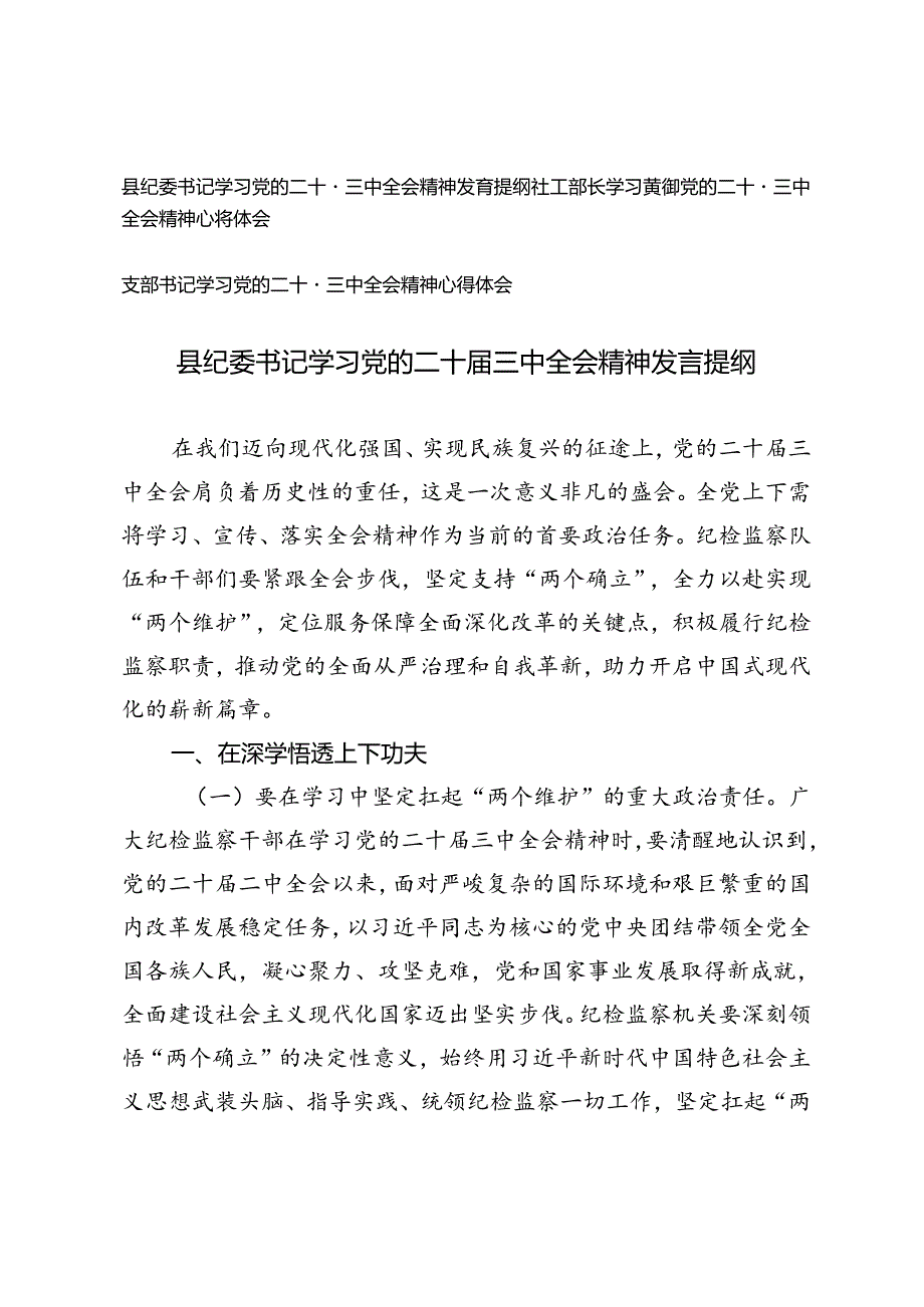 3篇 县纪委书记、支部书记、社工部长学习党的二十届三中全会精神发言提纲交流发言材料.docx_第1页