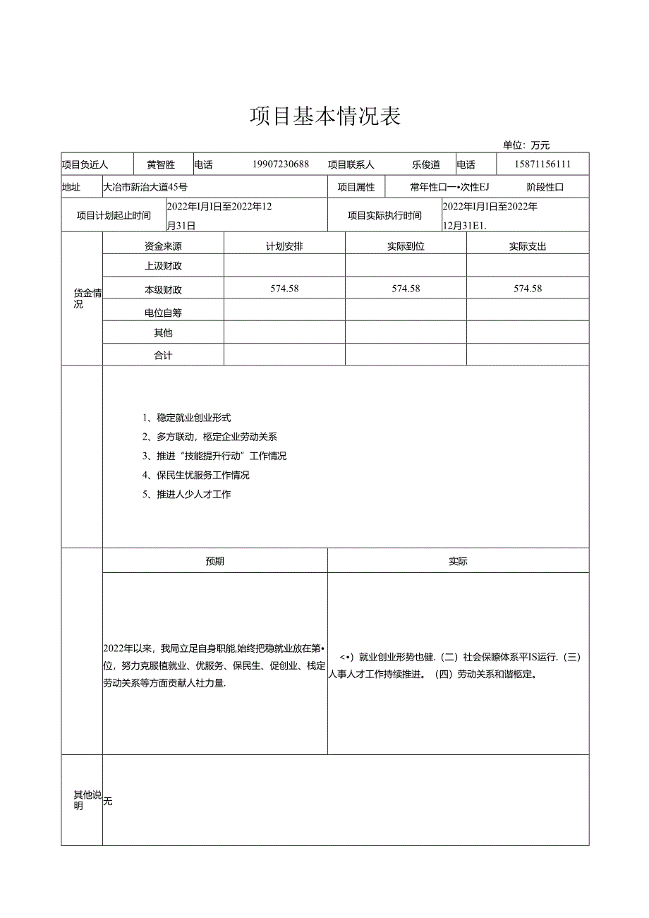 大冶市财政支出项目绩效自评报告.docx_第3页