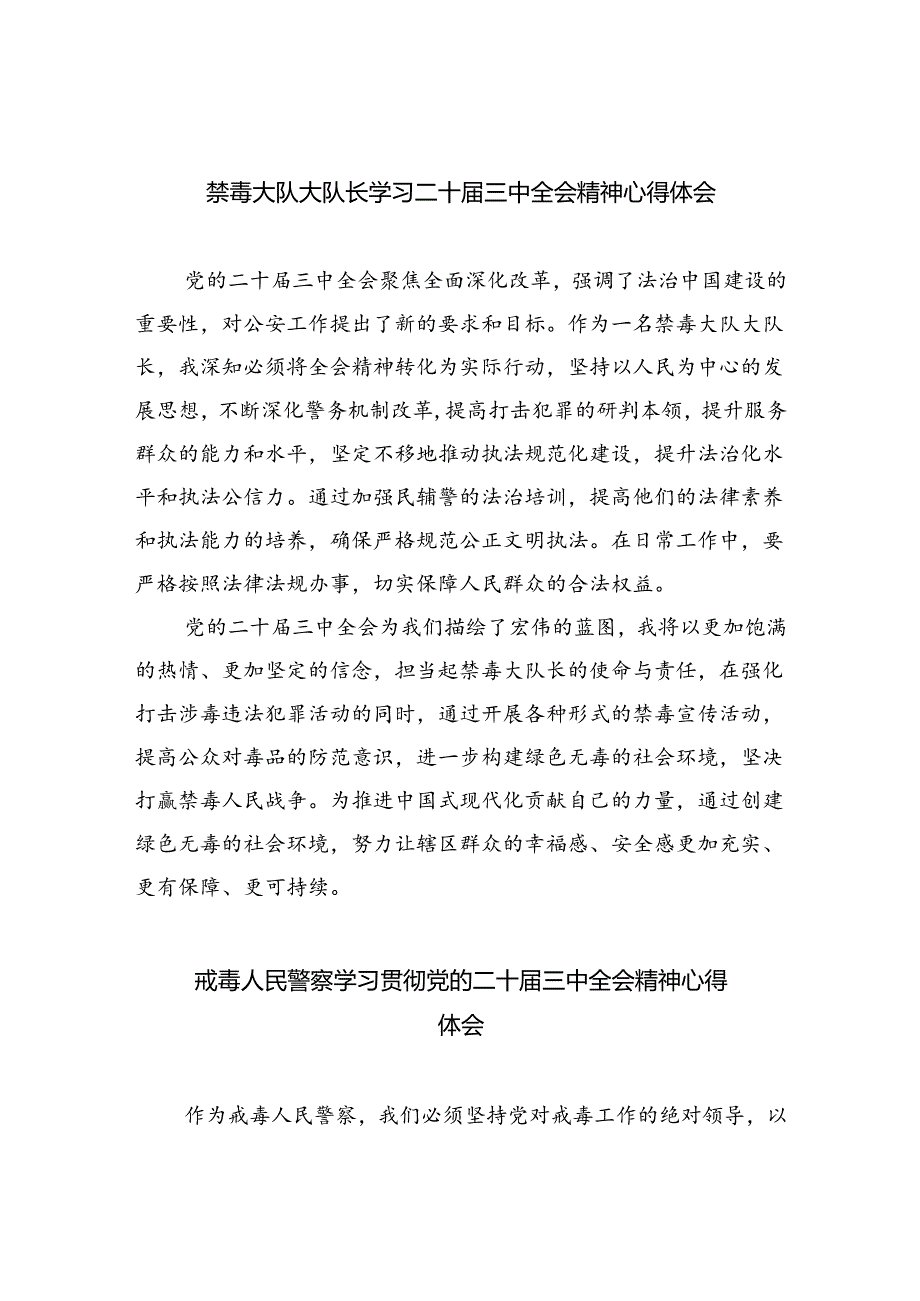 禁毒大队大队长学习二十届三中全会精神心得体会5篇（详细版）.docx_第1页