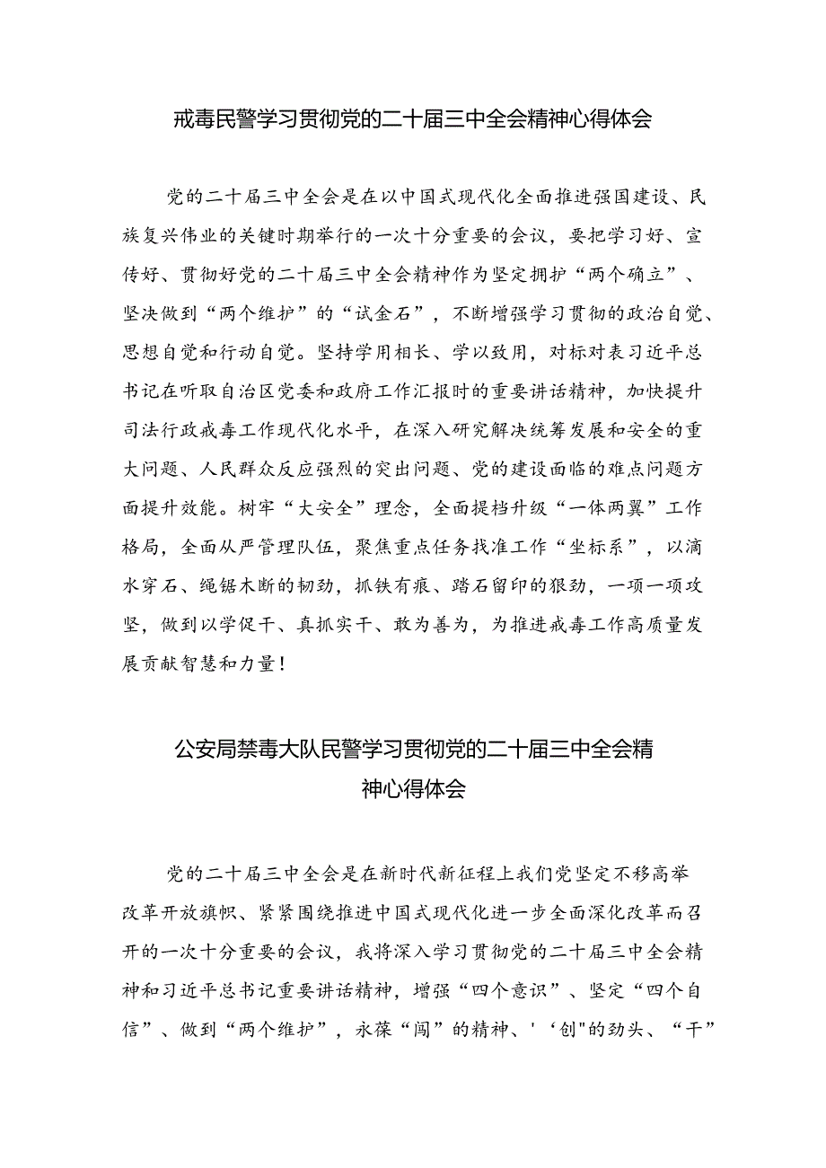 禁毒大队大队长学习二十届三中全会精神心得体会5篇（详细版）.docx_第3页