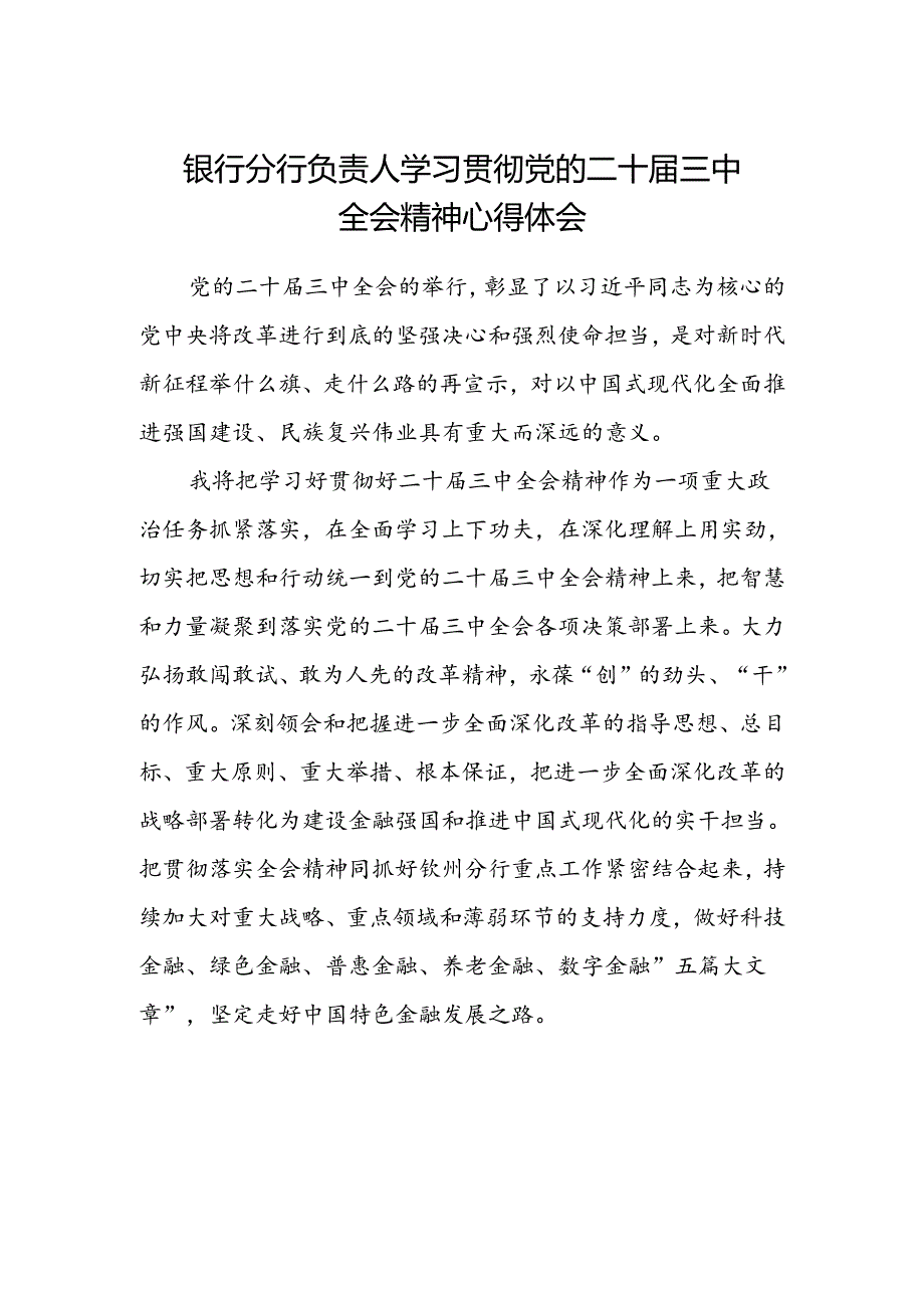 银行分行负责人学习贯彻党的二十届三中全会精神心得体会范文.docx_第1页