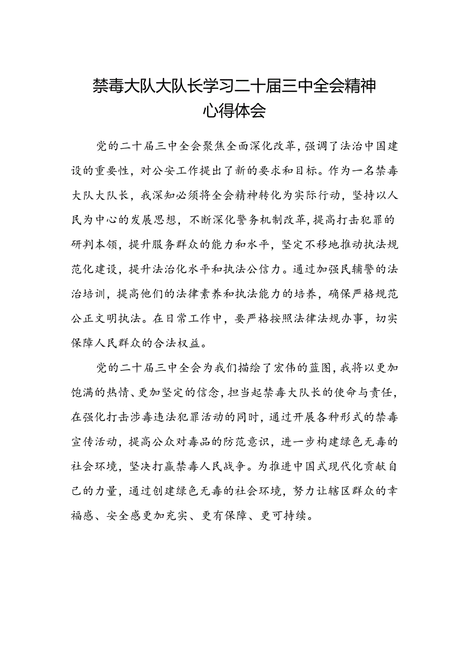 禁毒大队大队长学习二十届三中全会精神心得体会.docx_第1页