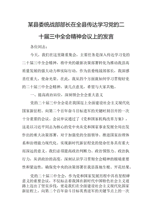 某县委统战部部长在全县传达学习党的二十届三中全会精神会议上的发言 .docx