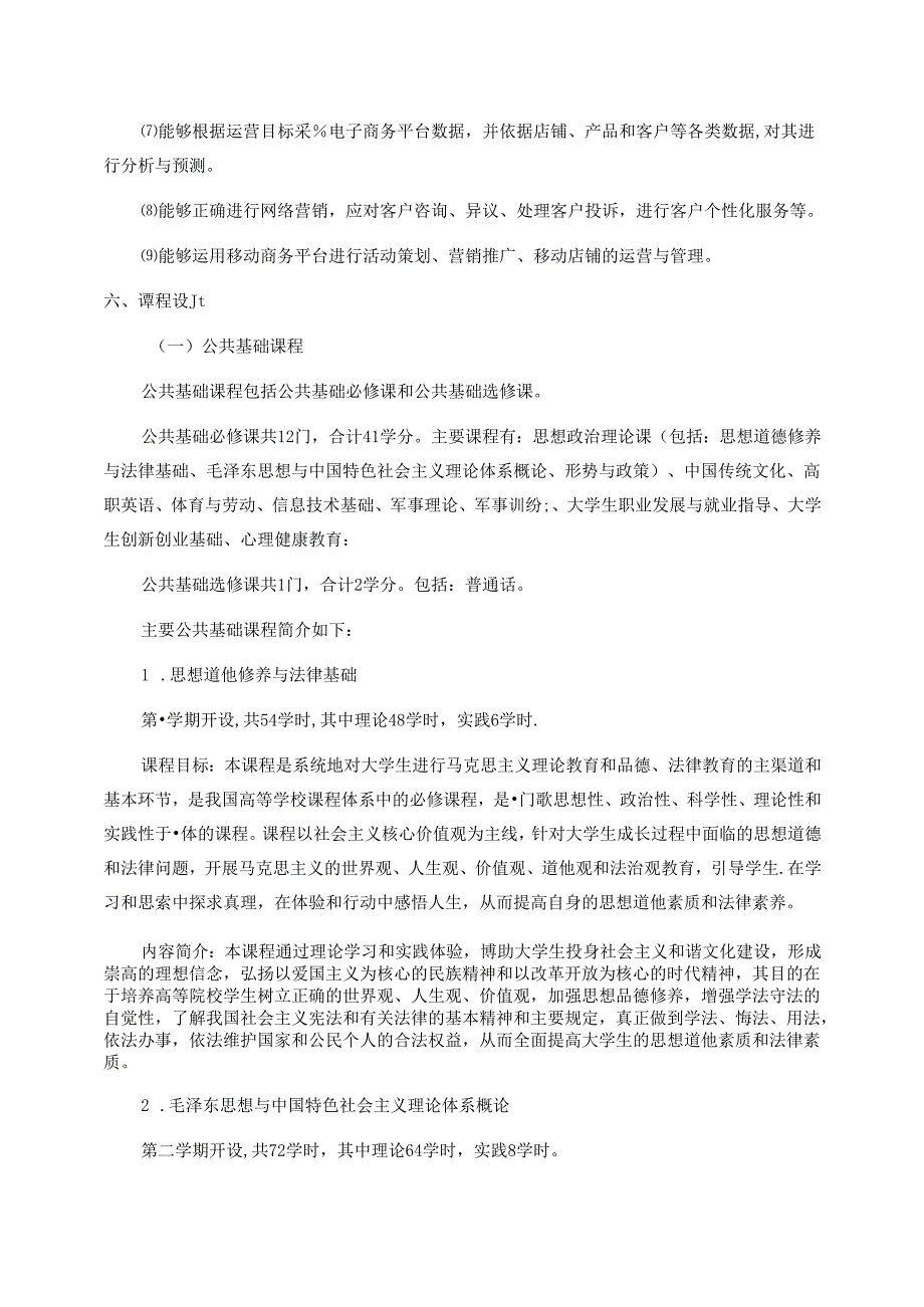 职业技术学院网络营销人才培养方案.docx_第3页