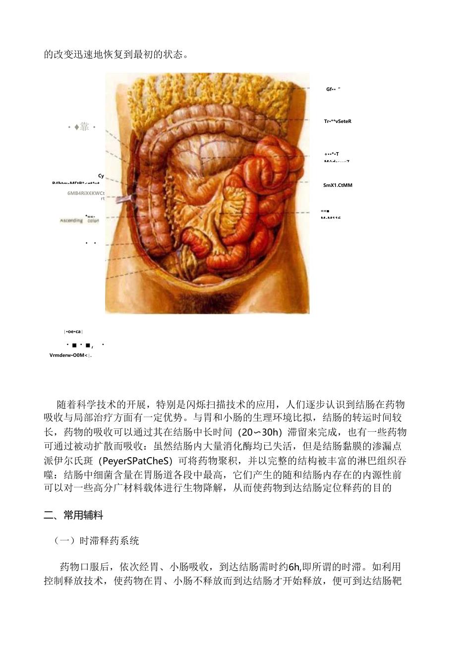 结肠定位.docx_第2页