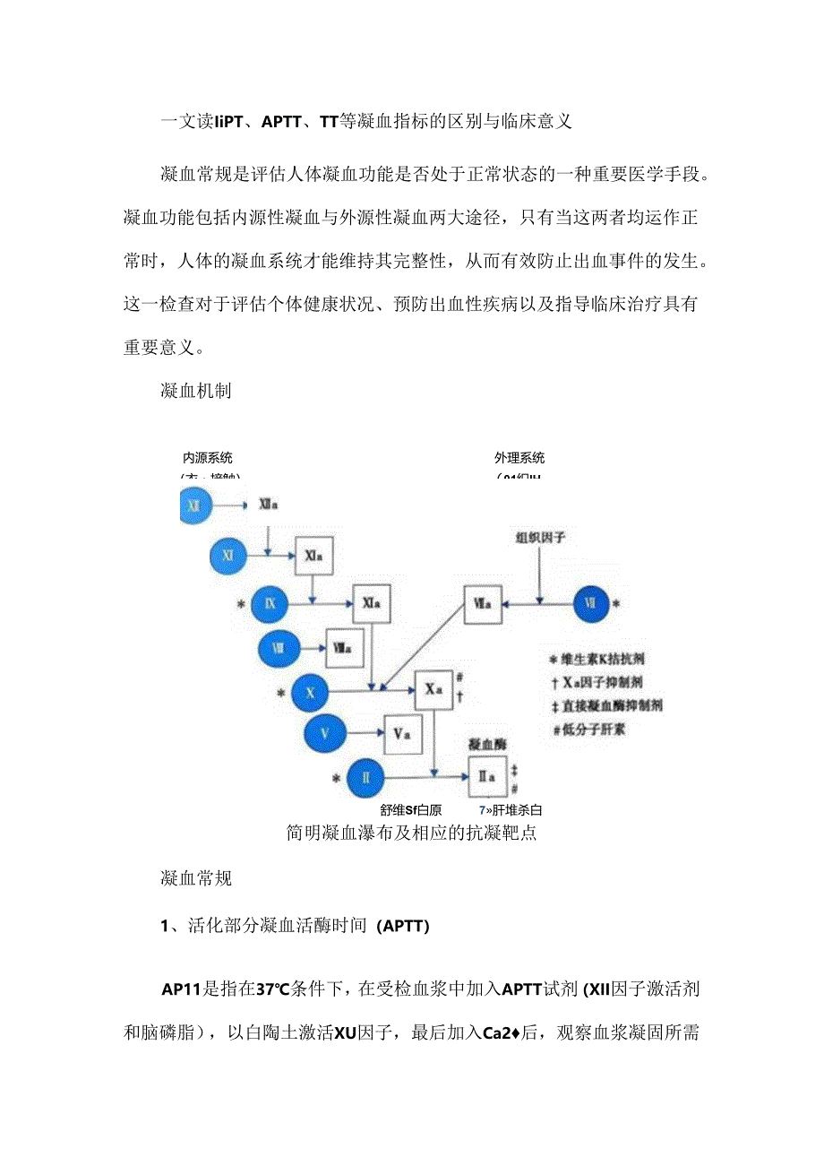 一文读懂PT、APTT、TT等凝血指标的区别与临床意义.docx_第1页