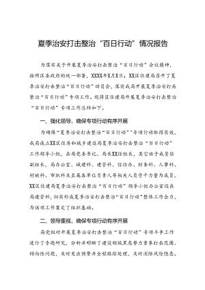 2024年开展夏季治安打击整治“百日行动”工作总结(二十五篇).docx