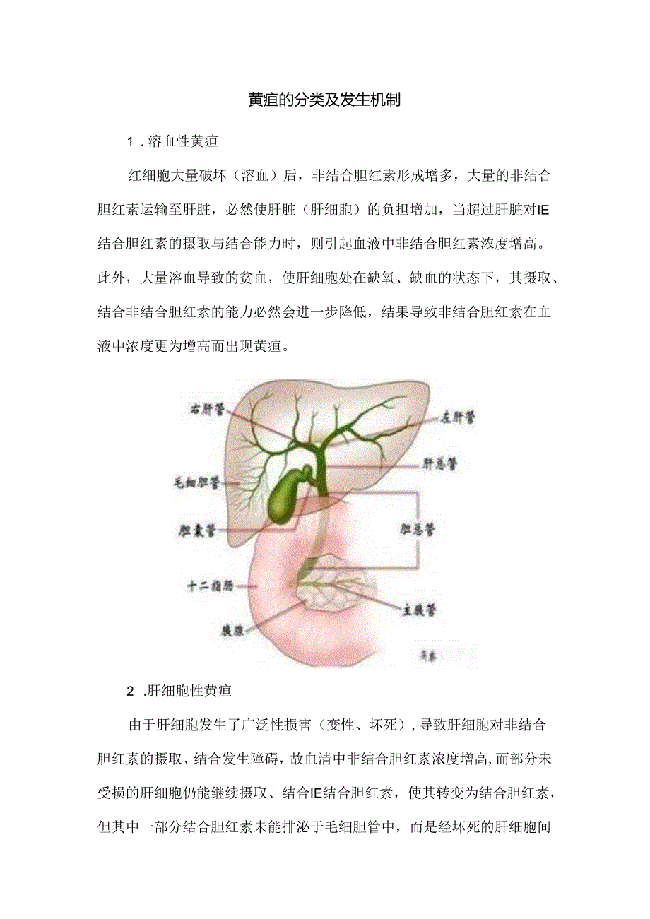 黄疸的分类及发生机制.docx_第1页