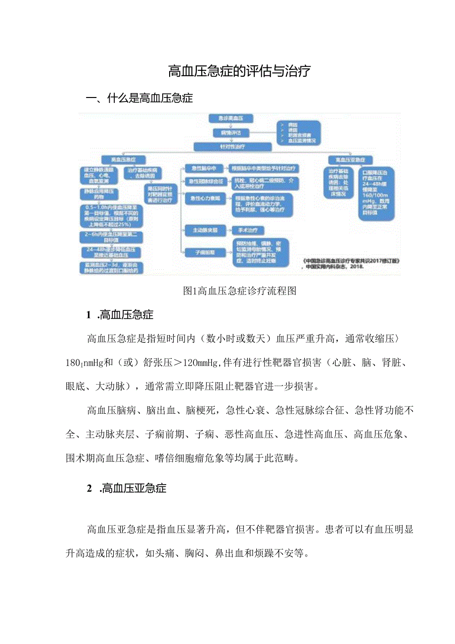 高血压急症的评估与治疗.docx_第1页