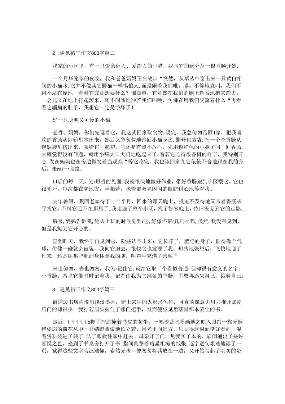 遇见初三作文800字（10篇）.docx_第2页