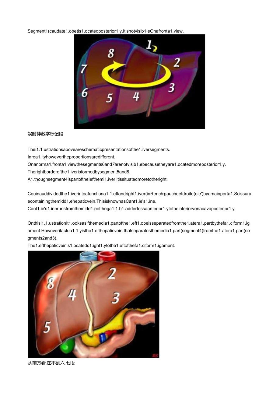肝脏分叶精美图解.docx_第2页