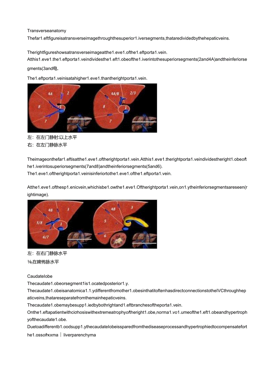 肝脏分叶精美图解.docx_第3页