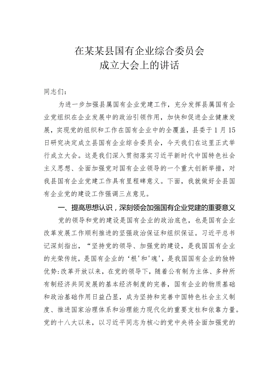 在某某县国有企业综合委员会成立大会上的讲话.docx_第1页