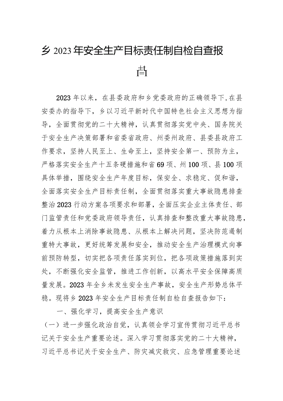 乡2023年安全生产目标责任制自检自查报告.docx_第1页