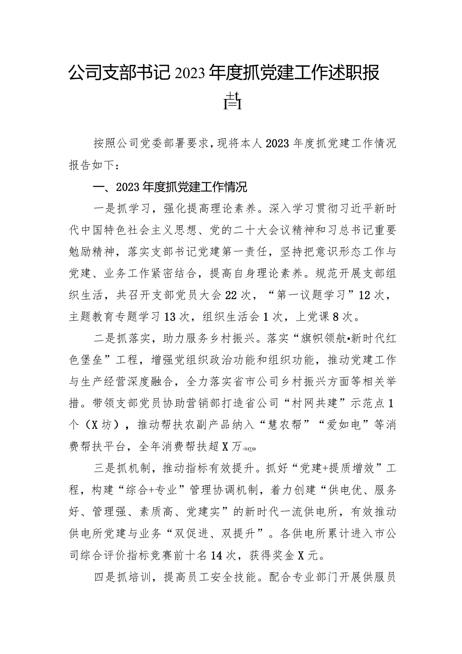 公司支部书记2023年度抓党建工作述职报告.docx_第1页