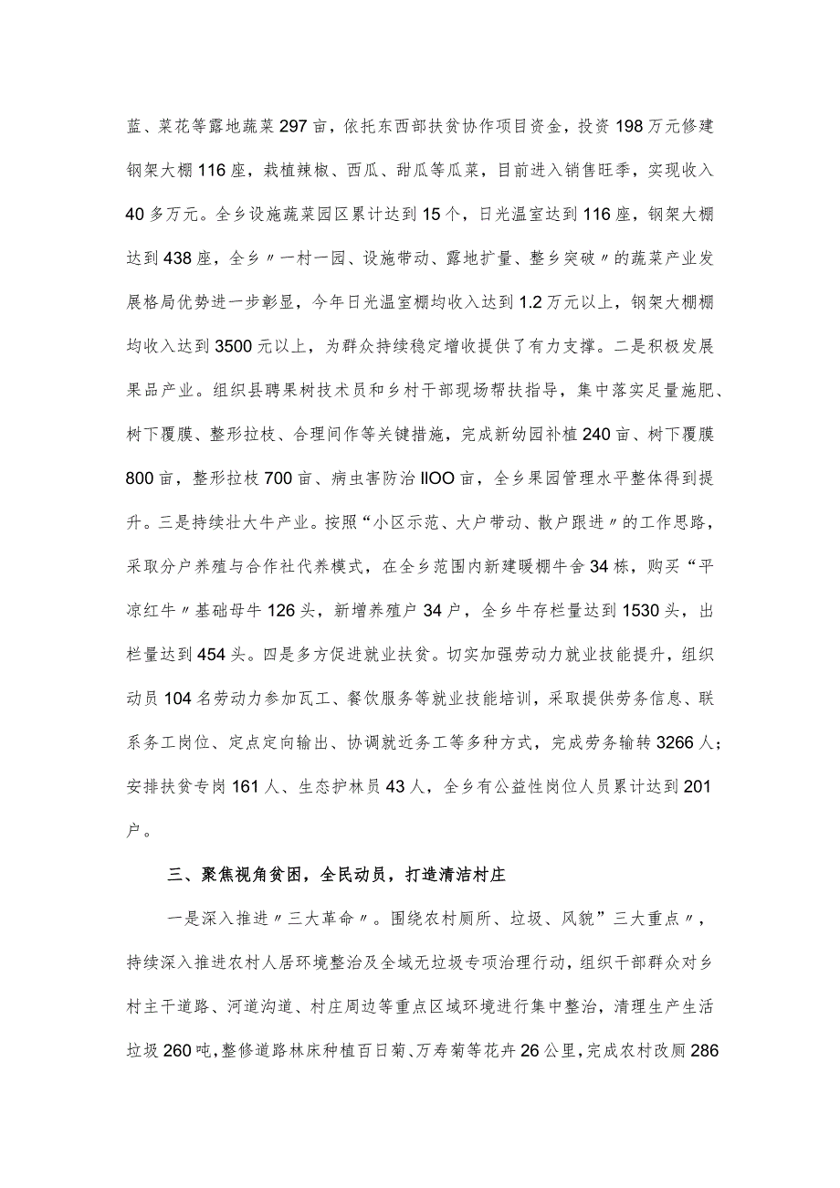 在实施乡村振兴战略领导小组第二次全体会议上的发言.docx_第2页