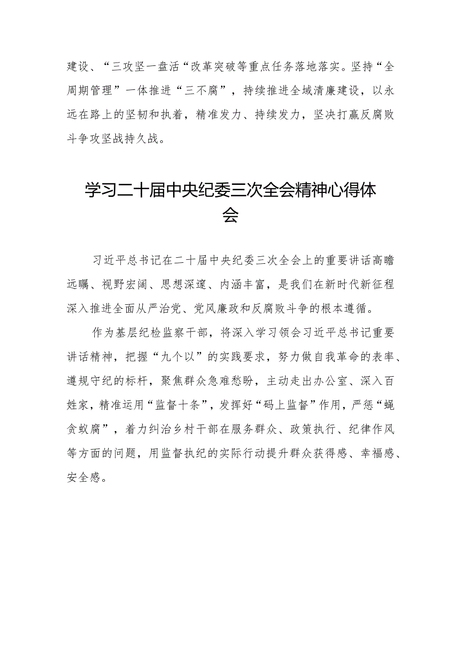 2024年纪检干部关于学习二十届中央纪委三次全会精神心得体会十九篇.docx_第2页