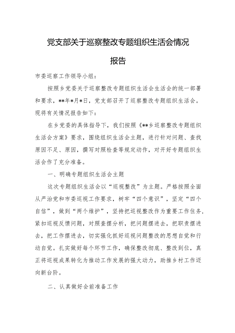 党支部关于巡察整改专题组织生活会情况报告.docx_第1页