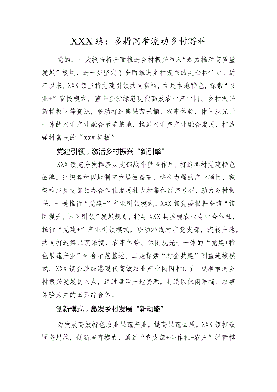 XX镇：多措并举推动乡村振兴.docx_第1页