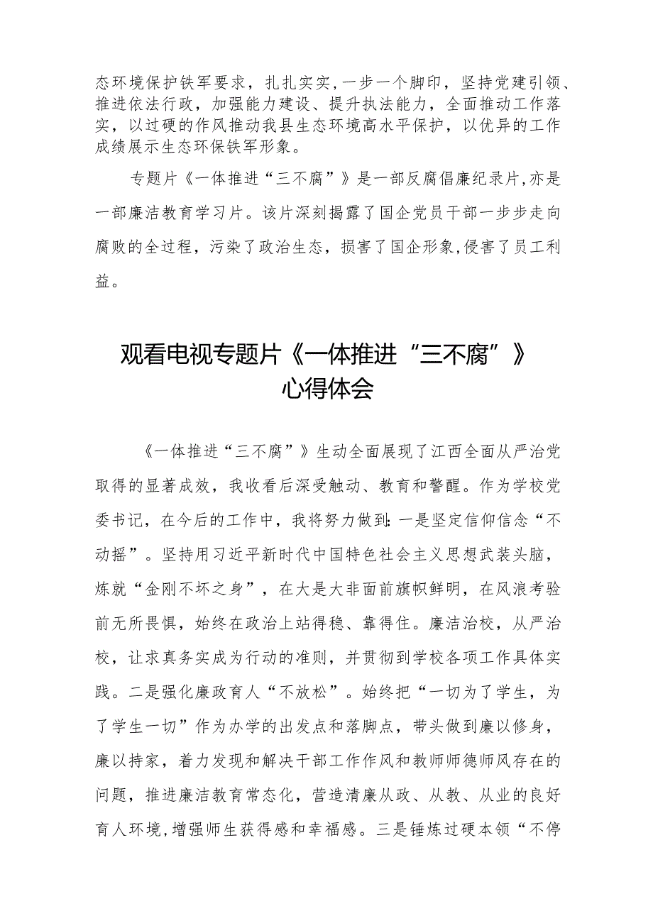 2024年纪检监察干部观看《一体推进“三不腐”》电视专题片的心得体会二十篇.docx_第2页