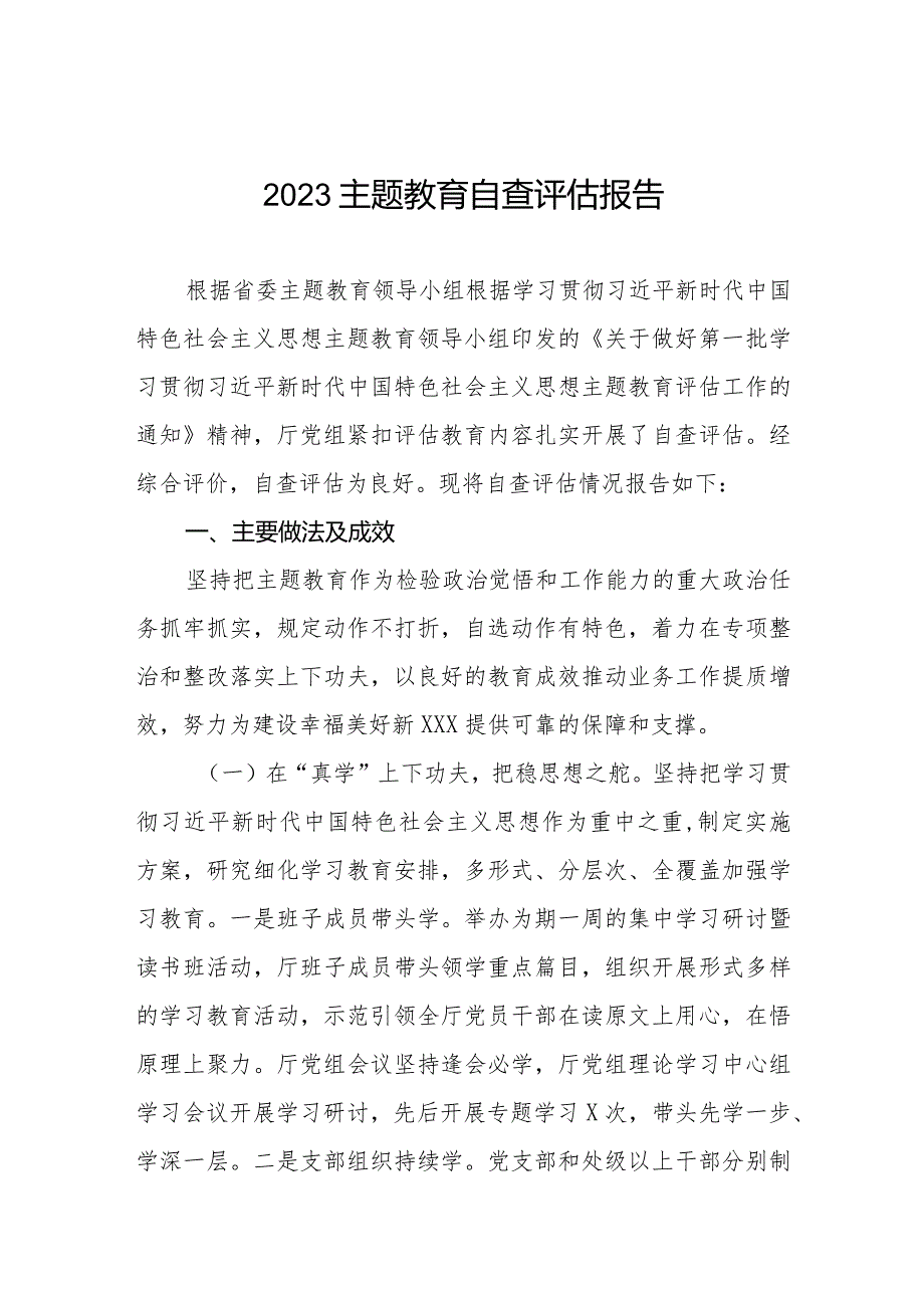 2023年主题教育开展情况的自查评估报告.docx_第1页