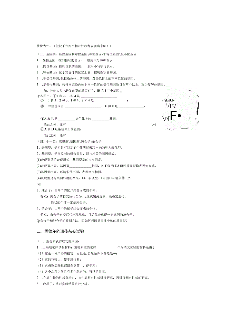 必修2遗传与进化复习学案.docx_第2页