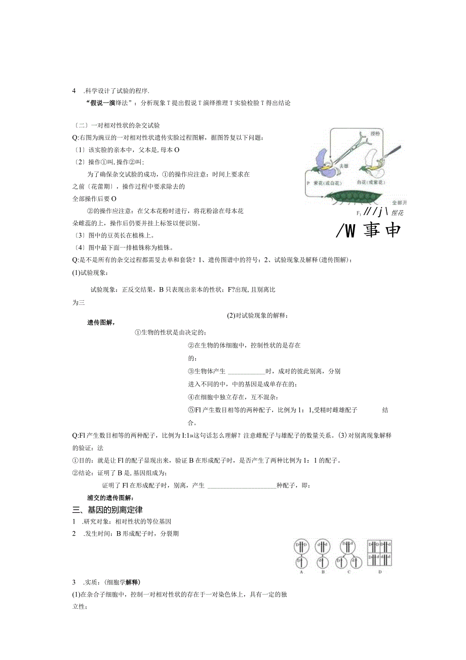 必修2遗传与进化复习学案.docx_第3页