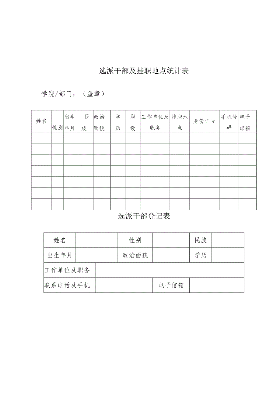 选派干部及挂职地点统计表.docx_第1页