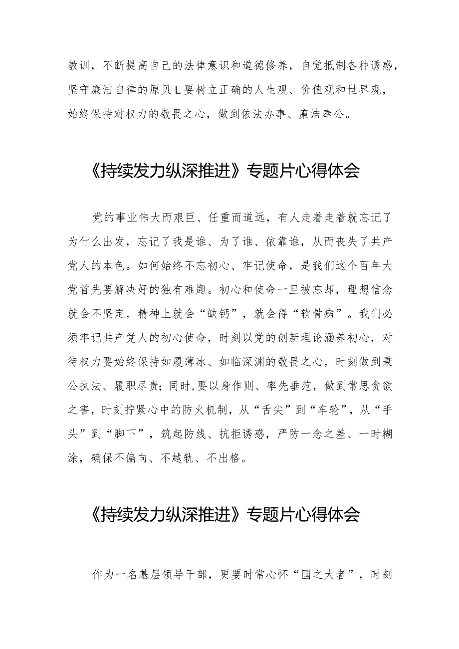 党员干部关于观看《持续发力 纵深推进》反腐专题片的心得感悟二十篇.docx_第2页