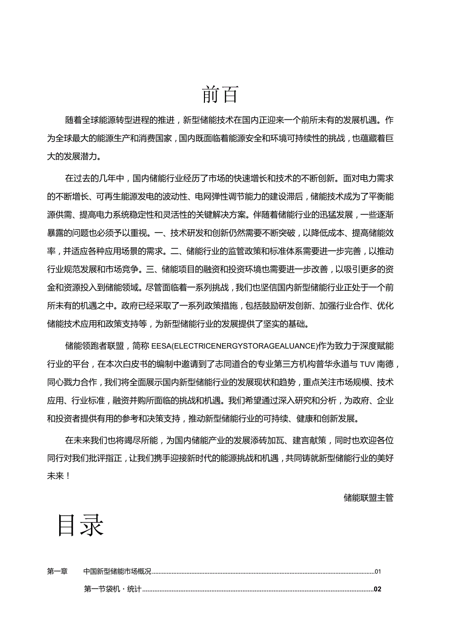 20xx年度国内新型储能行业发展白皮书机遇与挑战.docx_第2页