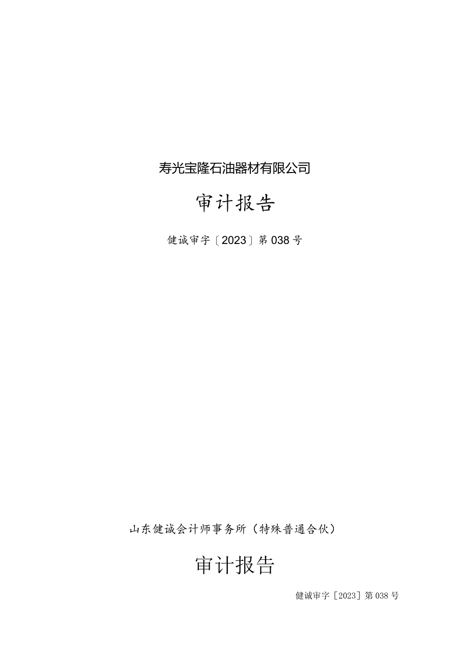 山东墨龙：寿光宝隆石油器材有限公司审计报告.docx_第1页