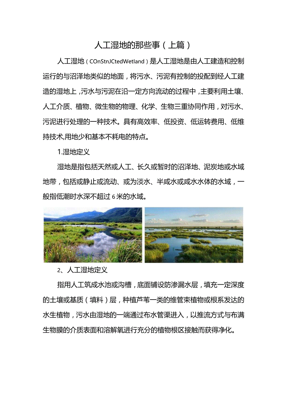 人工湿地的那些事（上篇）.docx_第1页