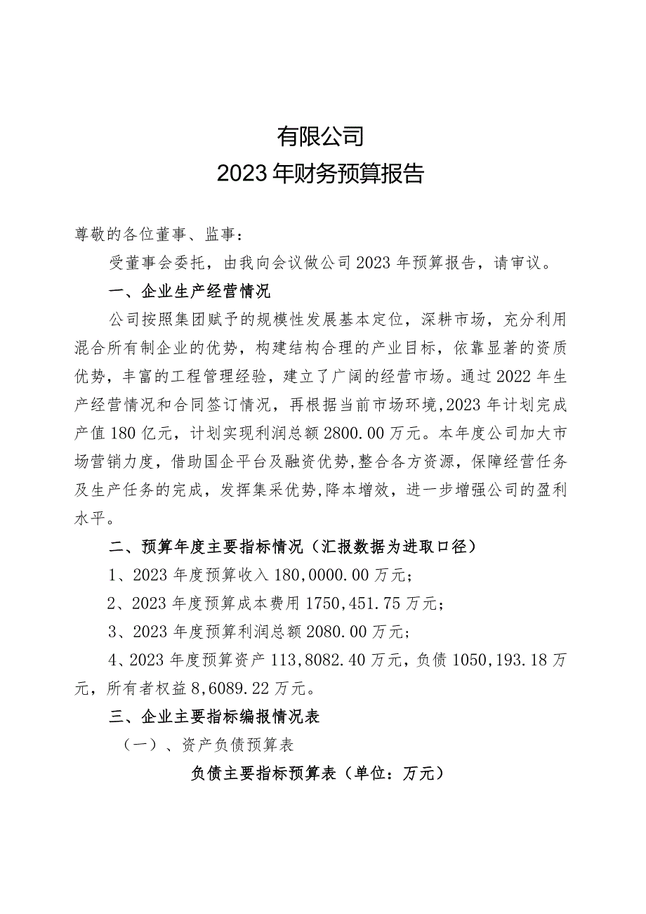 2023年财务预算报告.docx_第1页