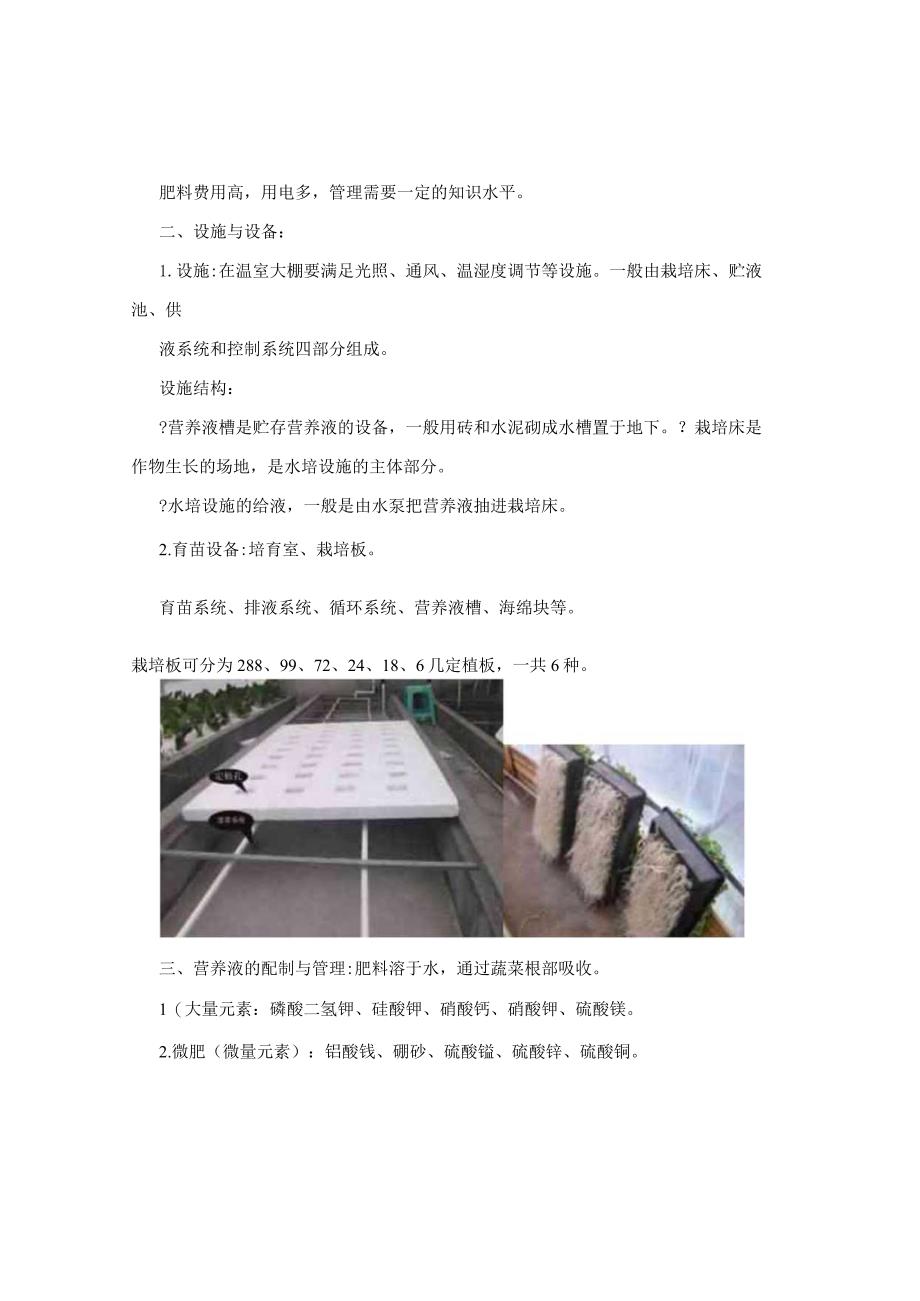 《水培蔬菜的培育技术》学习报告.docx_第2页