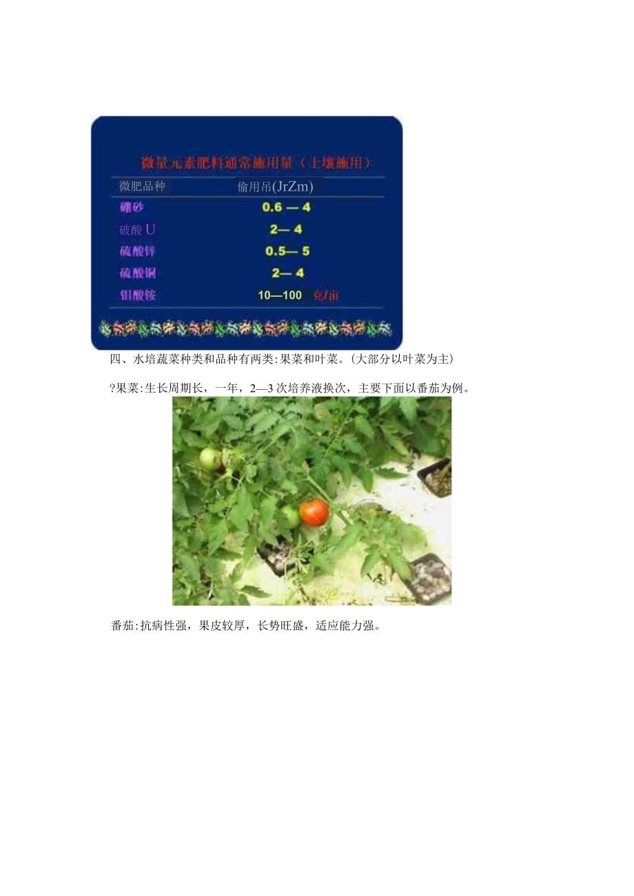 《水培蔬菜的培育技术》学习报告.docx_第3页