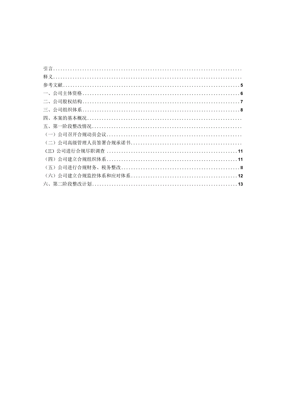 5.第一阶段考察报告（发票合规）.docx_第1页