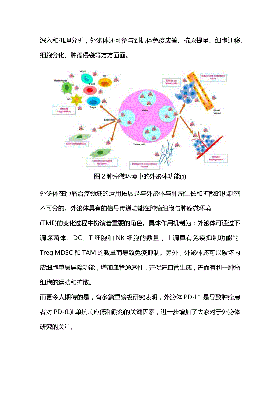 2023肿瘤免疫逃逸的关键因素及肝癌有关研究进展.docx_第2页