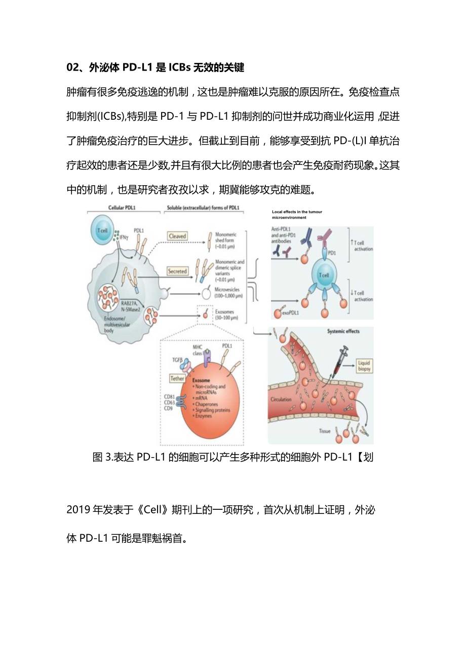 2023肿瘤免疫逃逸的关键因素及肝癌有关研究进展.docx_第3页